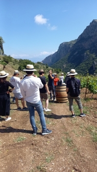 Ιάπωνες και Κορεάτες αγοραστές και δημοσιογράφοι σε Αχαΐα και Ηλεία, στο πλαίσιο του προγράμματος προώθησης οίνων ποιότητας, ΠΟΠ και ΠΓ