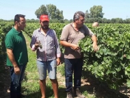 Επίσκεψη σε πληγείσες περιοχές, από τις έντονες βροχοπτώσεις, σε Αχαΐα και Ηλεία